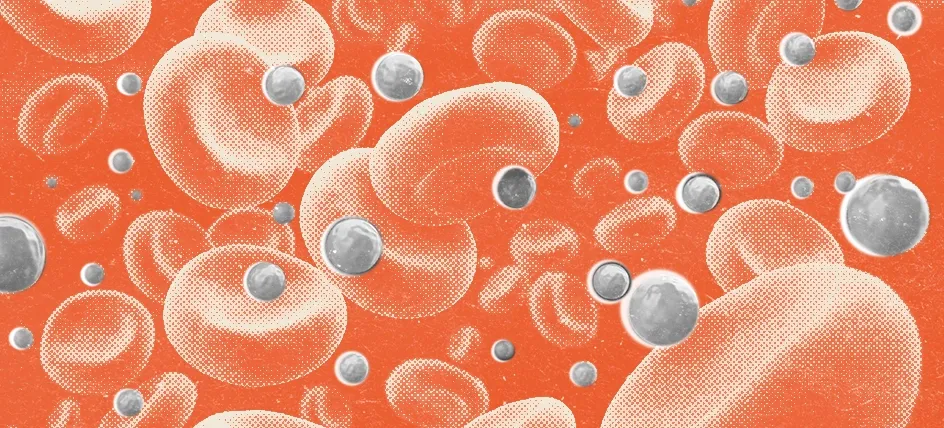 Red blood cells and lipoprotein particles in the bloodstream, representing the presence of lipoprotein(a) or Lp(a) in cardiovascular health.