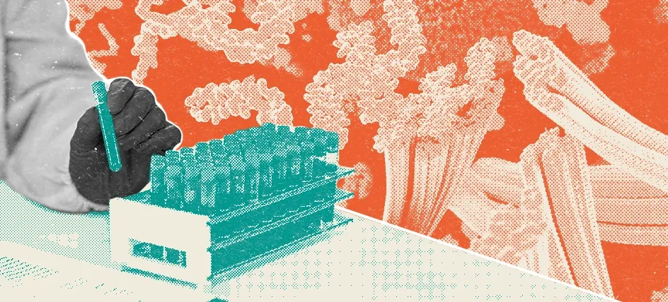 A bunch of blood vials with pTau proteins in teh background