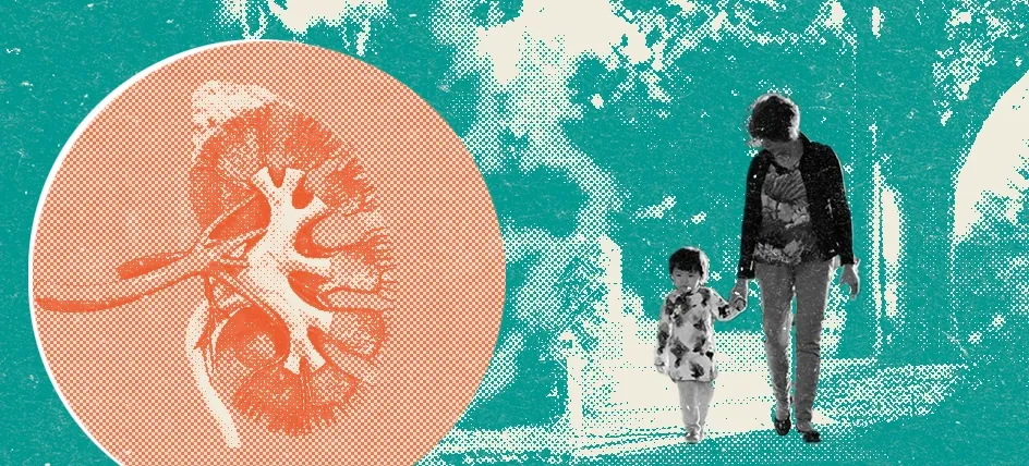 woman walking with child and a kidney in a circle