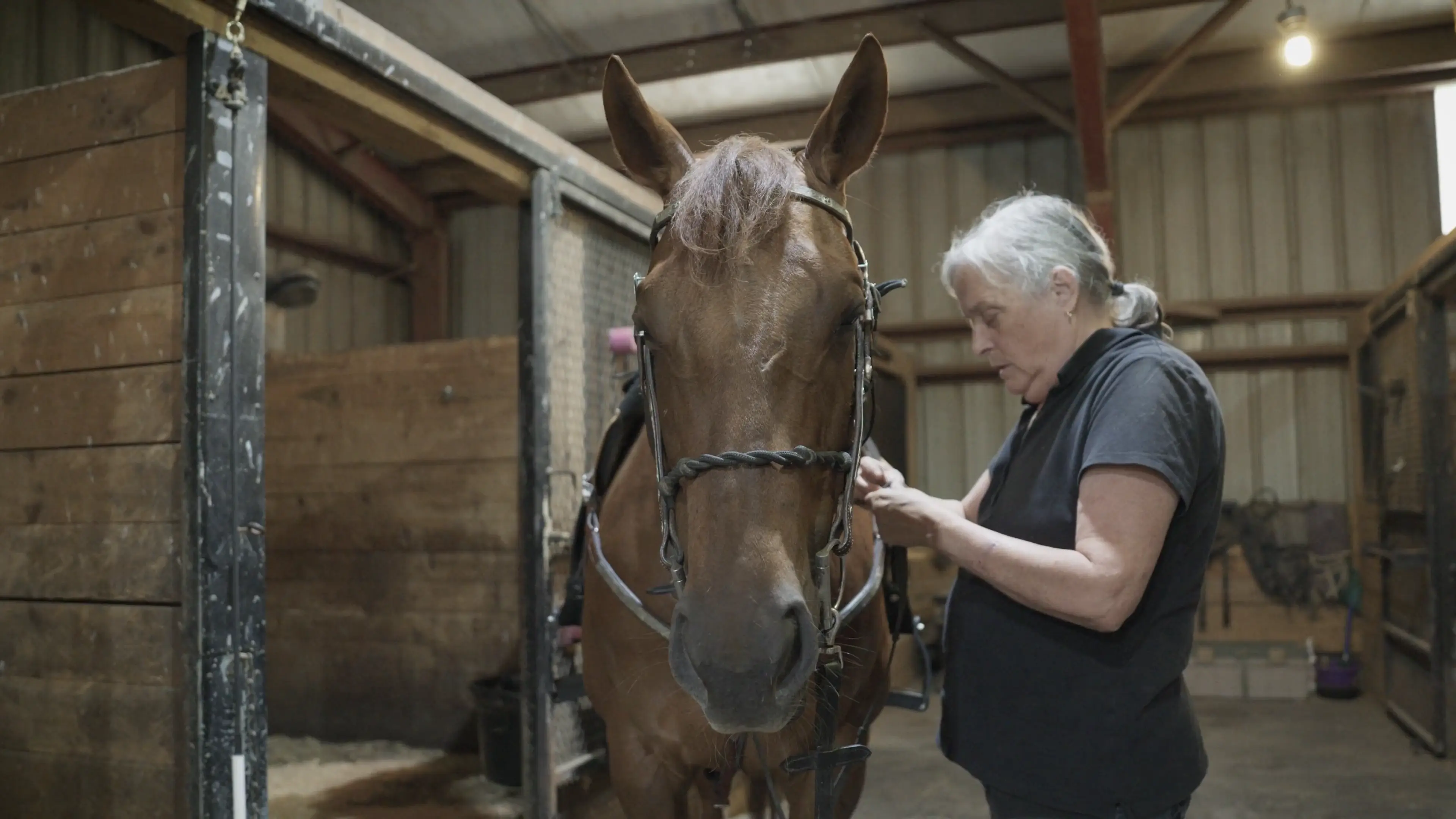 Fran and a horse